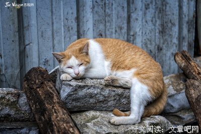 《夜郎》观后感精选