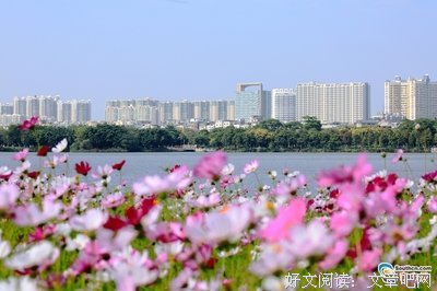 诗意生开看任