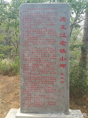 《灯塔血案》读后感锦集