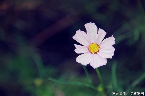 撕毁人设之后，你是谁