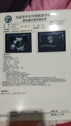 《偶感》的句子