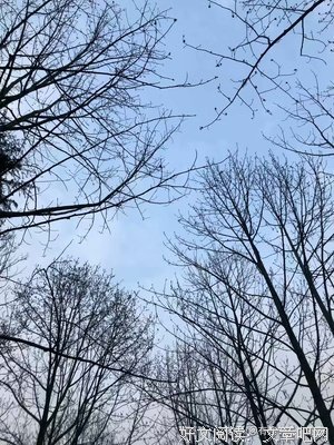 《情爱》的句子