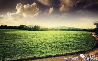 认命，才是一个人中年人最毒的毒药