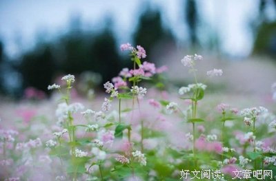 生活不易，真的请放过自己