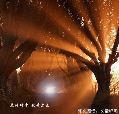 我爱并失她了如春花浪漫经典名句
