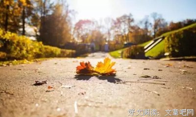 思念随风句子