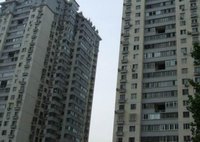 紫玉蝶梦好词好句