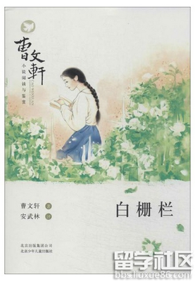 白色的虹经典读后感有感