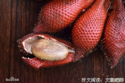《植物文化赏析》读后感1000字