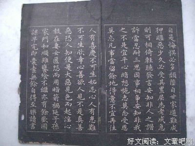 万青的名句_关于万青的名句