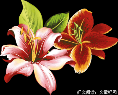 有关随笔的句子
