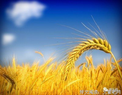 分开时当事叫的觉悟经典名句