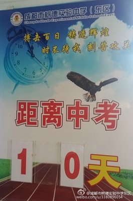《距离》的句子