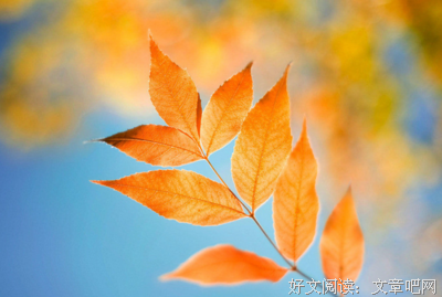 待发空间优美的句子