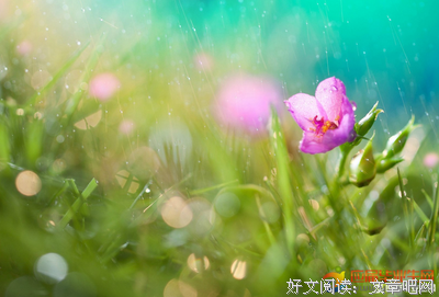 上善若说走可句子