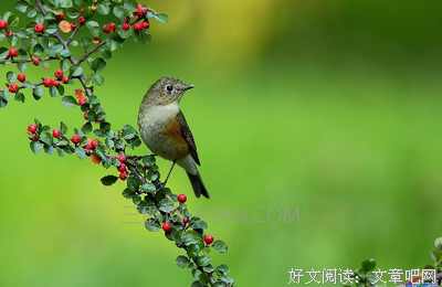 windsky的句子
