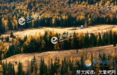 最经典的《岛》佳句摘抄
