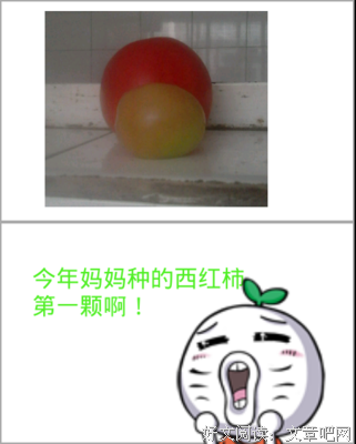 去起主人爱的 我们一起奔跑吧名句欣赏