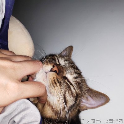 等我刷完，你洗洗
