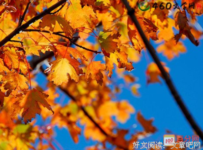 关于尘渊的优美句子
