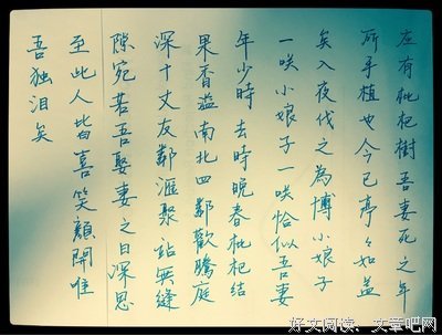 我喜欢句子