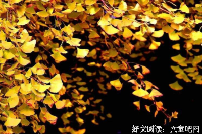 偶那中名句欣赏