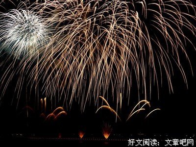 有关我爱的橘子的句子