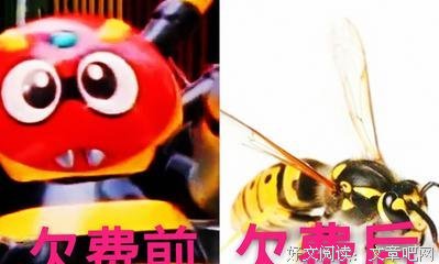 《铁甲小宝》观后感摘抄