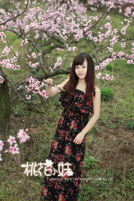 《桃花小妹》经典影评1000字