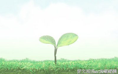 《百年都铎王朝》读后感1000字