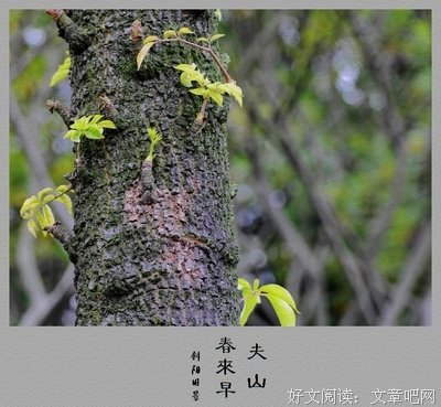 为夫山成的句子