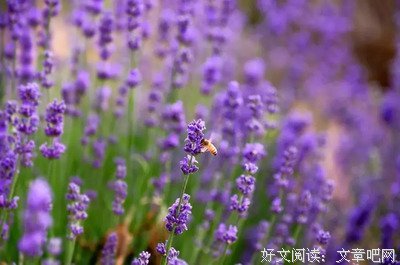 关于余力地的唯美语录