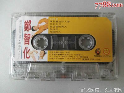 最新的郑智化名言大全