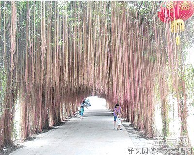 一帘幽梦好词好句