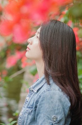 《落花》的句子