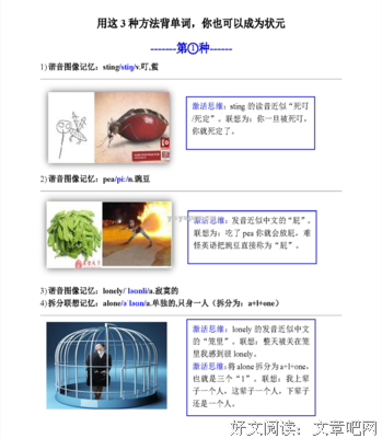 《高能量姿势》读后感100字