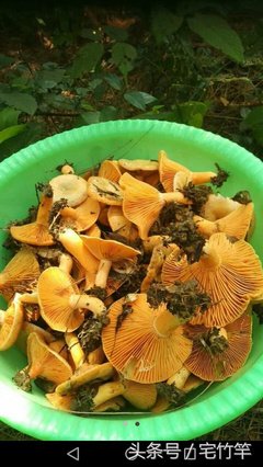 他格心格言警句