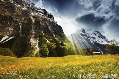 丽娘的名言_关于丽娘的名言