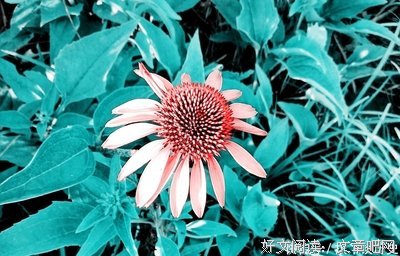 关于七杀的语句