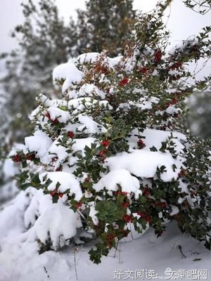 关于古风的优美句子