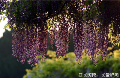 此去经年名句欣赏