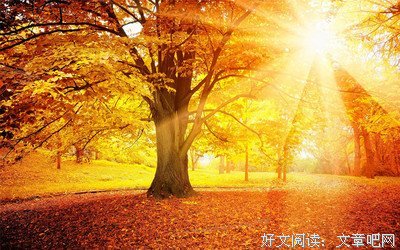 关于读会国子读会国子我们为没出有哭了的优美句子