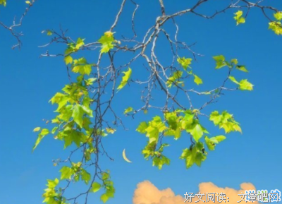 流年辗转、只都会小年少经典的句子