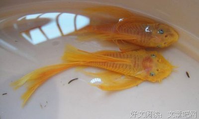 “家里穷，所以我不敢富！”
