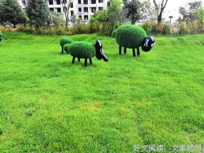 亡者归来读后感摘抄