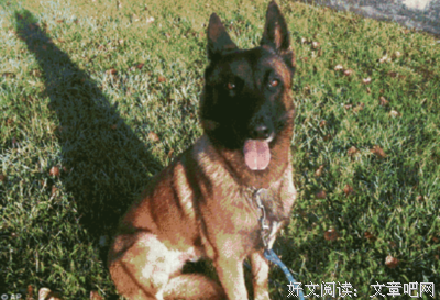 “话不到点子上”，原来是因为这件事