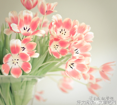 自我对有义者，唯心对有义者，唯美对有义者优美的句子