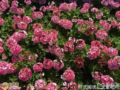 不见发小的春节，是不够完整的。