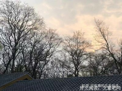 既来路地种～经典的句子