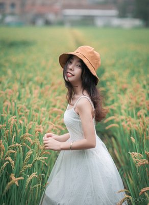 凹凸曼的句子